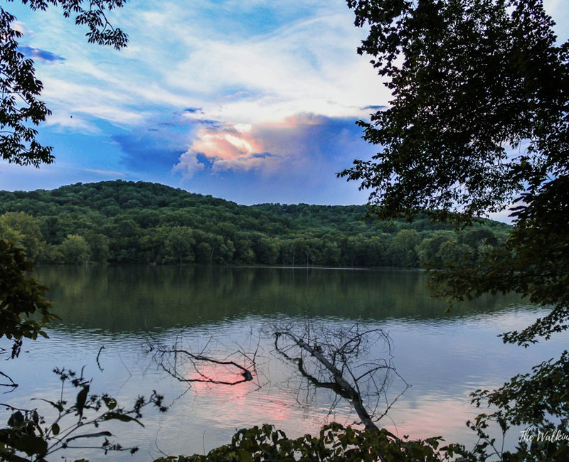 Best of Nashville Best Nature Spot Radnor Lake