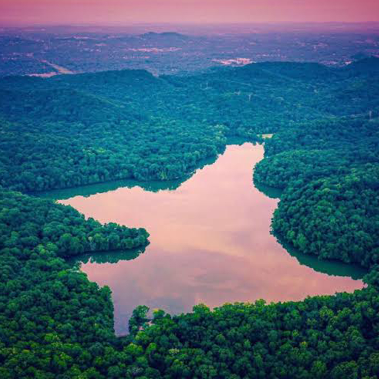 Best of Nashville Nature Radnor Lake