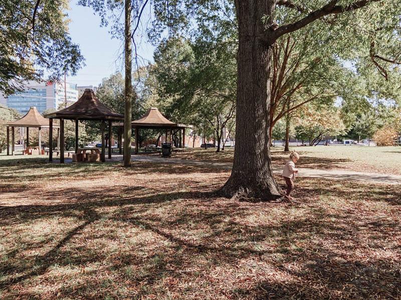 Best of Nashville Playground Picnics