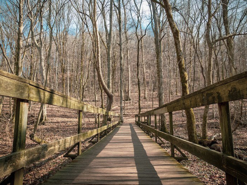 Best of Nashville Radnor Lake Hiking