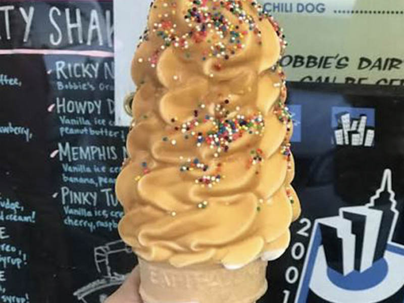 Bobbies Dairy Dip Hand Dipped