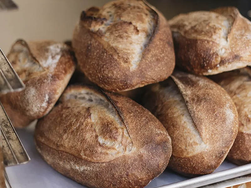 Best of Nashville Sourdough